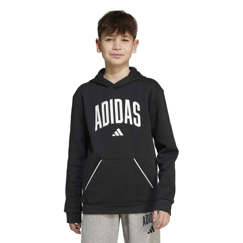 ADIDAS YOUTH SEASONALS ESSENTIALS COLLEGIATE TYPOGRAPHY HOODY