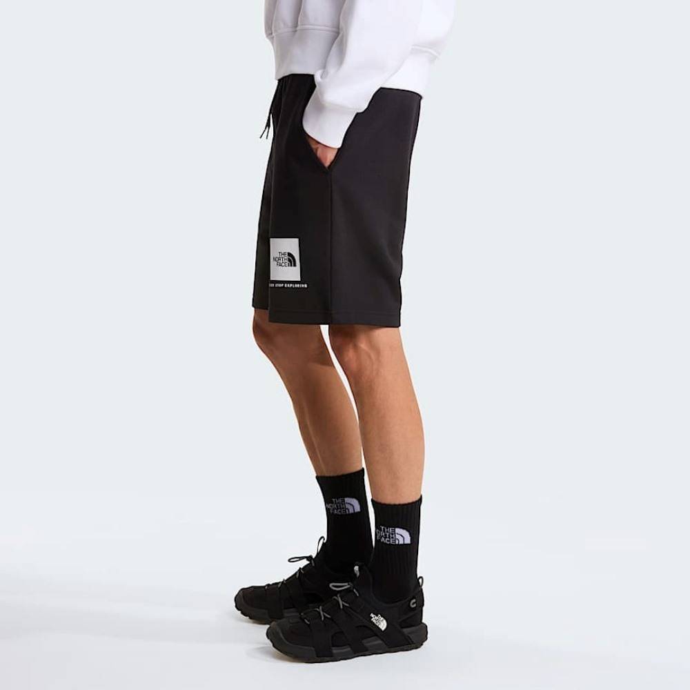 THE NORTH FACE M BOX NSE LIGHT REGULAR SHORTS