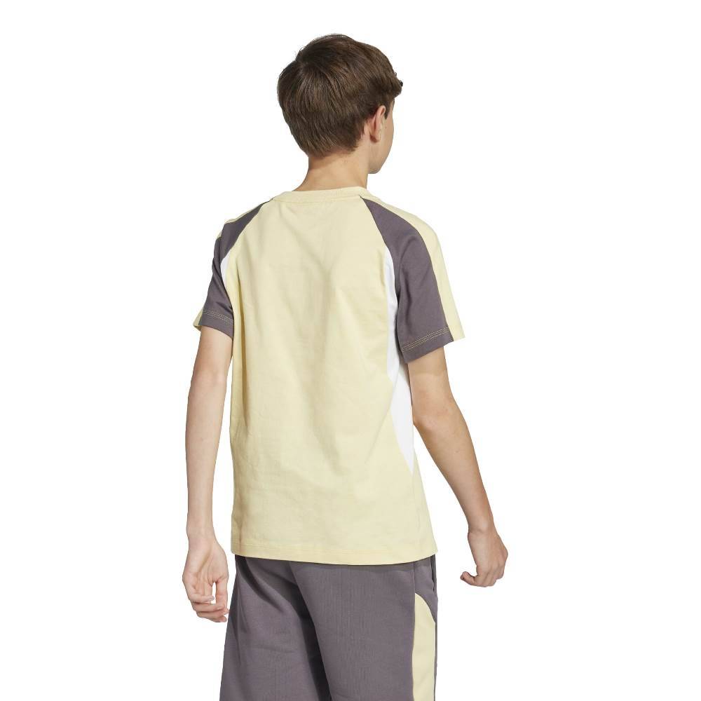 ADIDAS YOUTH SEASONAL ESSENTIALS COLORBLOCK T-SHIRT